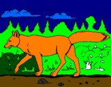Disegno Coyote pitturato su LORENZO