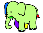 Disegno Elefante bebè  pitturato su Vittoria