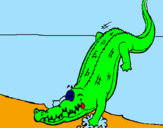 Disegno Alligatore che entra nell'acqua  pitturato su irene