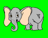 Disegno Piccolo elefantino  pitturato su Martina.