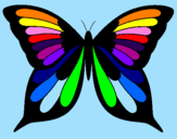 Disegno Farfalla 8 pitturato su Elisa