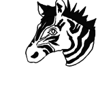 Disegno Zebra II pitturato su giorgio