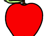 Disegno mela  pitturato su marta