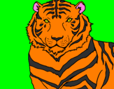 Disegno Tigre pitturato su diego