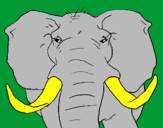 Disegno Elefante africano pitturato su jacopo