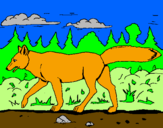Disegno Coyote pitturato su nicole