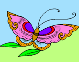 Disegno Farfalla  pitturato su jasmine