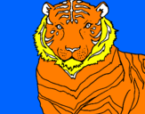 Disegno Tigre pitturato su alessia