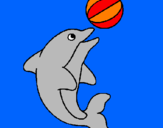 Disegno Delfino con una palla  pitturato su Alessia001