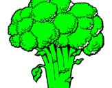 Disegno Broccoli  pitturato su Aurora2007
