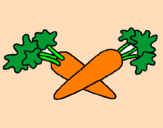 Disegno carote  pitturato su rossella