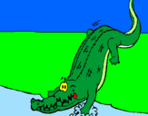 Disegno Alligatore che entra nell'acqua  pitturato su GIORGIO