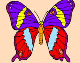 Disegno Farfalla  pitturato su chiara