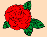 Disegno Rosa pitturato su rossella