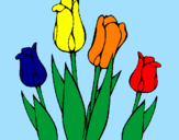Disegno Tulipani  pitturato su Gaia Vitiello