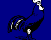 Disegno Gallo gagliardo  pitturato su sara
