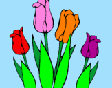 Disegno Tulipani  pitturato su mereuta-maria