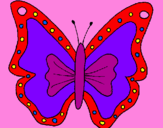 Disegno Farfalla  pitturato su MARY