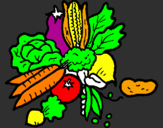 Disegno verdure  pitturato su ANITA