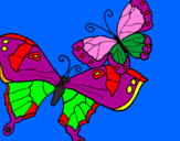 Disegno Farfalle pitturato su giulia