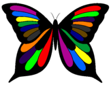 Disegno Farfalla 8 pitturato su martina ventura