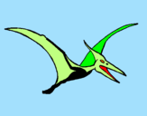 Disegno Pterodattilo  pitturato su ptero