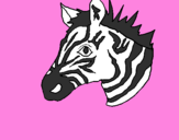 Disegno Zebra II pitturato su aurora