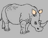 Disegno Rinoceronte  pitturato su FEDERICO