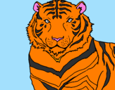 Disegno Tigre pitturato su FEDERICO
