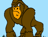 Disegno Gorilla pitturato su domenico