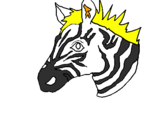 Disegno Zebra II pitturato su FRANCESCO