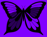 Disegno Farfalla 8 pitturato su alice