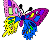 Disegno Farfalla  pitturato su Vittoria