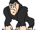 Disegno Gorilla pitturato su giorgio