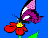 Disegno Farfalla su un fiore pitturato su rachel