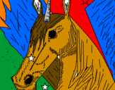 Disegno Livehorses pitturato su 123456789