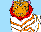 Disegno Tigre pitturato su domenico