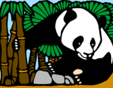 Disegno Orso panda con bambù  pitturato su gabriele