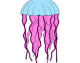 Disegno Medusa  pitturato su alessia 99
