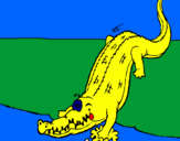 Disegno Alligatore che entra nell'acqua  pitturato su melissa
