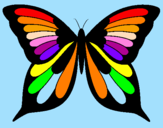 Disegno Farfalla 8 pitturato su farfallina