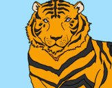 Disegno Tigre pitturato su binca menga