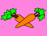 Disegno carote  pitturato su nicolemara
