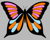 Disegno Farfalla 8 pitturato su nicolemara