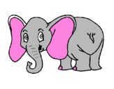 Disegno Piccolo elefantino  pitturato su Sara