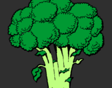Disegno Broccoli  pitturato su luca