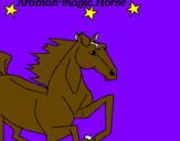 Disegno Cavallo Arabo pitturato su Alessio
