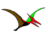 Disegno Pterodattilo  pitturato su elisabetta