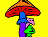 Disegno Funghi pitturato su fabio