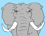 Disegno Elefante africano pitturato su simo